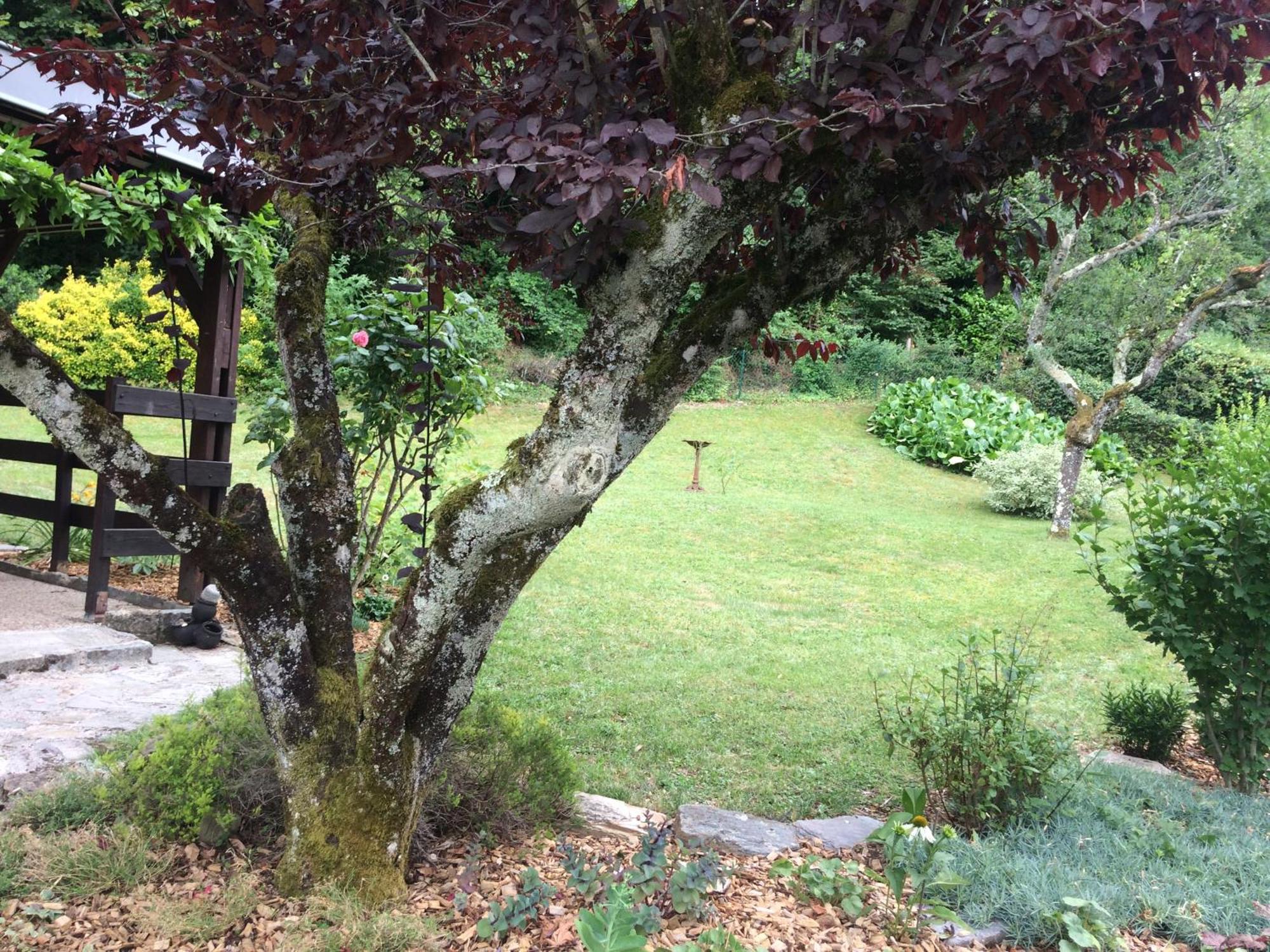 Villa La Moraine Thonon-les-Bains Exterior foto